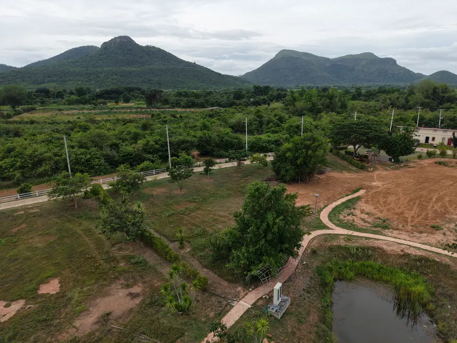Plot 1 back view toward mountains and forest at NHVK