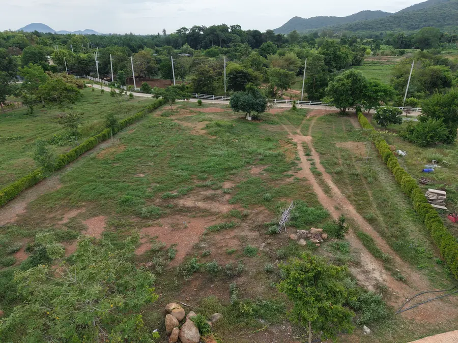 Plot 3 back view toward mountains and forest at NHVK