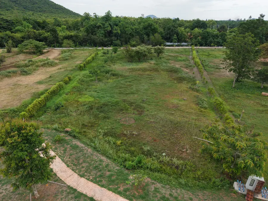 Plot 6 back view toward forest and Khao Kling mountain at NHVK